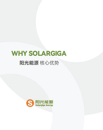 阳光能源核心优势